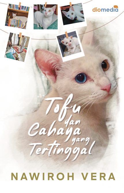 Tofu dan Cahaya yang Tertinggal